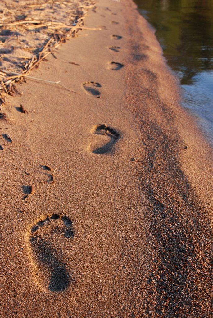 Quiropráctica y Grounding.
